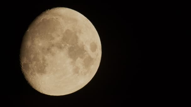 Lune Incomplète Déplace Lentement Dans Ciel Nocturne Petit Oiseau Vole — Video