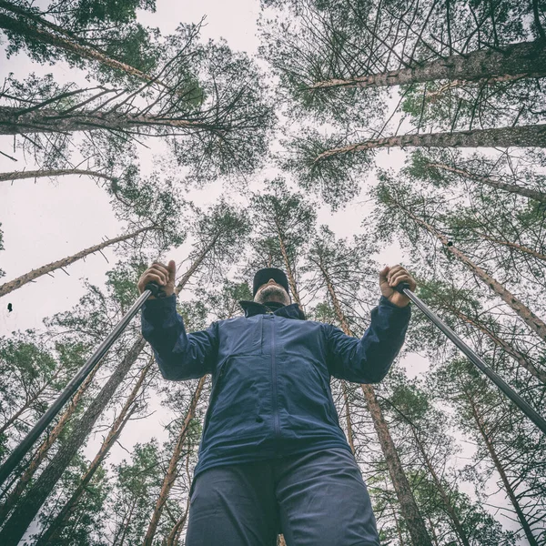 Tourist Oder Sportler Mit Stöcken Wald Nordic Walking — Stockfoto