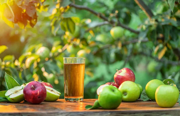 Färsk Äppeljuice Och Ekologiska Äpplen Träbordet Sommar Fruktträdgård Kvällssolen Strålar — Stockfoto