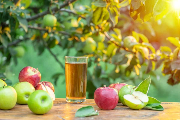 Färsk Äppeljuice Och Ekologiska Äpplen Träbordet Sommar Fruktträdgård Kvällssolen Strålar — Stockfoto