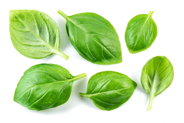 Set Fresh Green Basil Leaves Isolated White Background — Stock Photo, Image