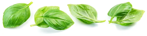 Set Fresh Green Basil Leaves Isolated White Background — Stock Photo, Image