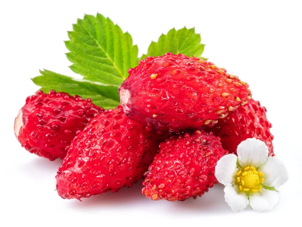 Ripe Red Wild Strawberry Strawberries Leaves Isolated White Background — Stock Photo, Image