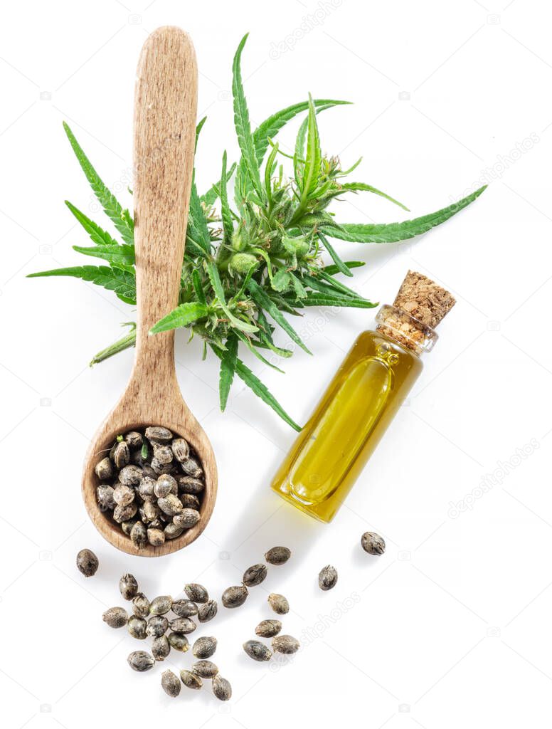 Cannabis seeds in the wooden spoon and hemp oil isolated on white background. Close up.
