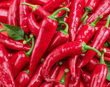 Bir sürü taze kırmızı biber. Gıda arkaplanı.