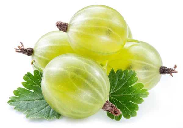 Three Green Ripe Gooseberries Leves White Background Close — Stock Photo, Image