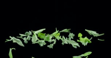 Salata kokulu bitki yaprakları uçar ve siyah bir arka plana düşer. Blackmagic Ursa Pro G2, 300 fps.
