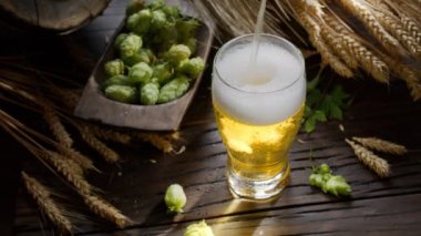  Taze bira akıntısı filtresiz bira bardağına dökülür, olgun bira şerbetçiği, arpa kulağı ve arka planda ev yapımı bira ruhu vardır. 163