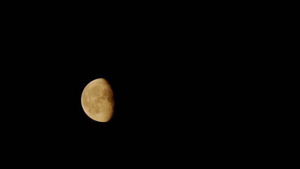 Onvolledige Maan Beweegt Langzaam Door Nachtelijke Hemel — Stockvideo