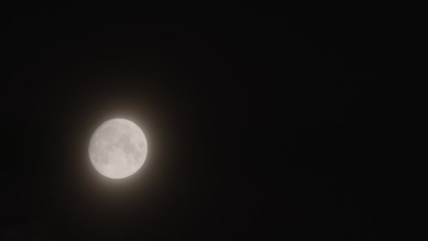 Onvolledige Maan Beweegt Door Nachtelijke Hemel Begeleid Door Kleine Wolken — Stockvideo