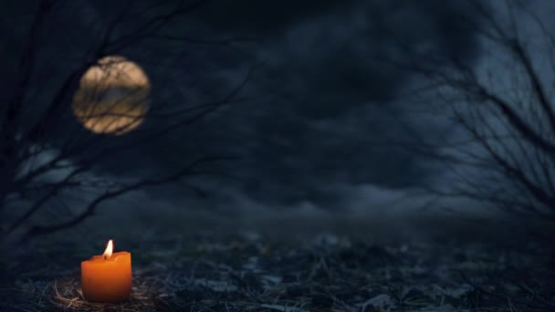 Halloween Theme Candle Full Moon Dark Autumn Forest Halloween Horror — Stock Video