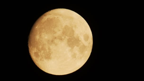 Luna Incompleta Muove Lentamente Attraverso Cielo Notturno Uccellino Vola Davanti — Video Stock