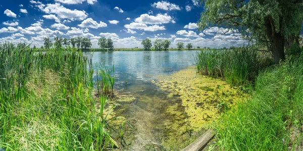 Beautiful River Bank Covered Tall Reeds Cloudy Summer Sky Amaxing — Stock Photo, Image