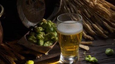  Taze bira akıntısı filtresiz bira bardağına dökülür, olgun bira şerbetçiotu, arpa kulağı ve arka planda ev yapımı bira ruhu ile.. 