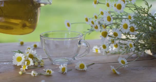 将甘菊茶倒入透明茶壶中的杯子中 这个动作发生在一个夏天的乡村露台上 有阳光 附近是药用洋甘菊的花朵 — 图库视频影像