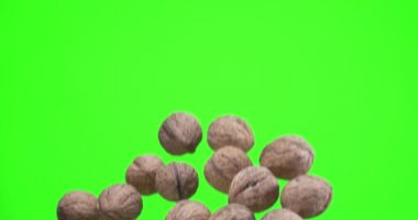 Birkaç ceviz yavaşça yükselir ve yeşil arka plan üzerine düşer (kroma anahtarı). Yavaş çekim 300 fps. 