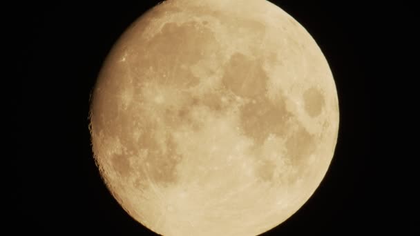 Onvolledige Maan Beweegt Langzaam Door Nachtelijke Hemel Kleine Vogel Vliegt — Stockvideo