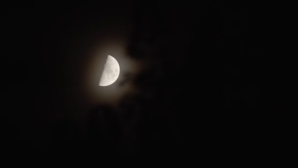 Onvolledige Maan Beweegt Door Nachtelijke Hemel Vergezeld Van Kleine Wolken — Stockvideo
