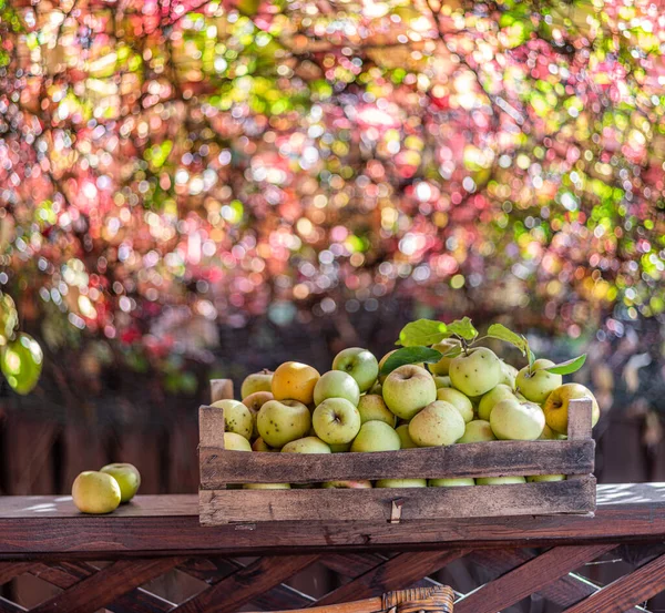 Pommes Mûres Dans Les Boîtes Bois Feuillage Automne Flou Coloré — Photo