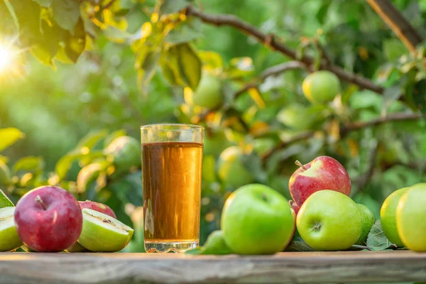 Färsk Äppeljuice Och Ekologiska Äpplen Träbordet Sommar Fruktträdgård Kvällssolen Strålar — Stockfoto