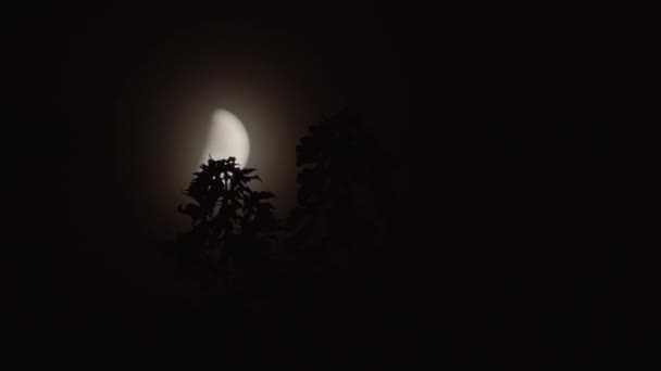 Der Unvollständige Mond Wandert Durch Den Nachthimmel Begleitet Von Kleinen — Stockvideo