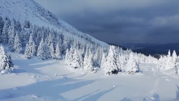 Perfektes Schwenken Einer Wunderschönen Winterlichen Berglandschaft Die Ukraine Die Karpaten — Stockvideo