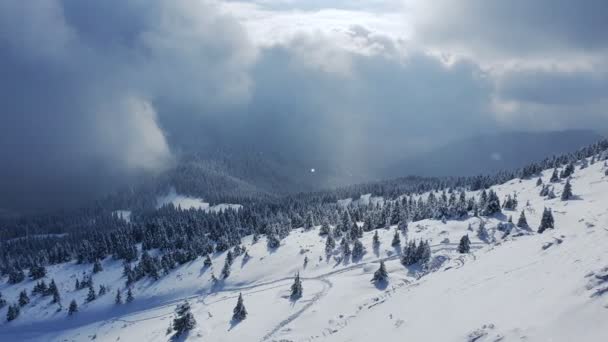 Perfektes Schwenken Einer Wunderschönen Winterlichen Berglandschaft Die Ukraine Die Karpaten — Stockvideo