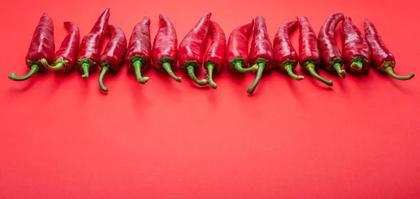 Свежий Красный Перец Чили Лежал Ряд Изолированы Красном Фоне Вид — стоковое фото