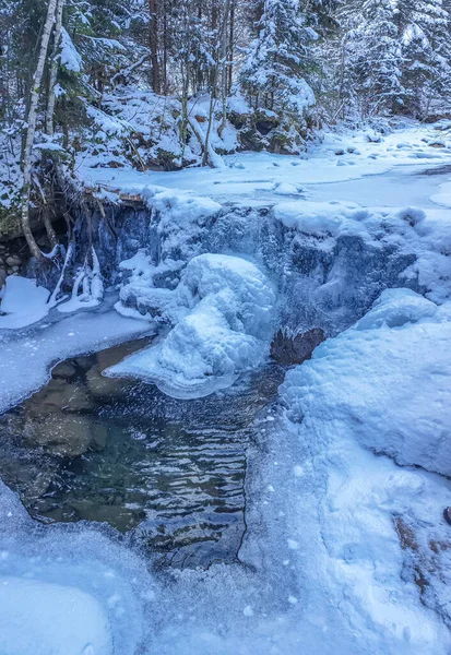 Fluxo Inverno Congelado Uma Floresta Abetos Nas Proximidades Dos Cárpatos — Fotografia de Stock