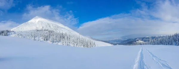 Panoramic Landscape Snowy Forest Mountains Sunny Winter Day Ukrainian Carpathians — Stock Photo, Image