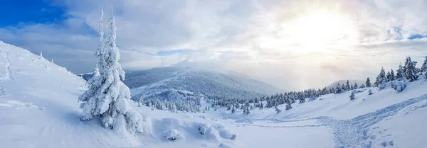 Πανοραμικό Τοπίο Ενός Χιονισμένου Δάσους Στα Βουνά Μια Ηλιόλουστη Χειμωνιάτικη — Φωτογραφία Αρχείου