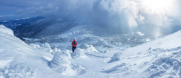 晴れた冬の日には山の中で雪の森のパノラマの風景です ウクライナのカルパティア人 ペトロス山の近く 1つの観光客があります — ストック写真