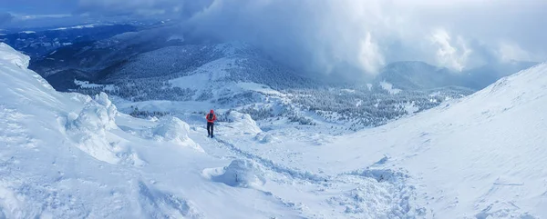 晴れた冬の日には山の中で雪の森のパノラマの風景です ウクライナのカルパティア人 ペトロス山の近く 1つの観光客があります — ストック写真