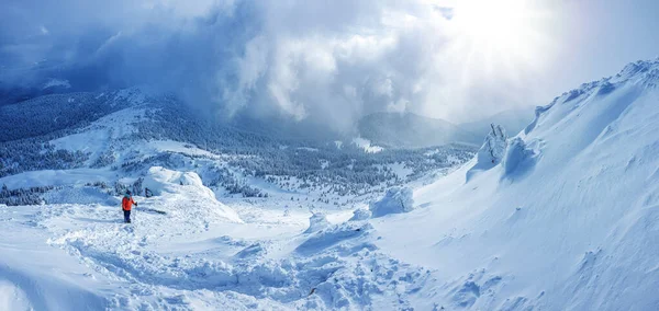 晴れた冬の日には山の中で雪の森のパノラマの風景です ウクライナのカルパティア人 ペトロス山の近く 1つの観光客があります — ストック写真