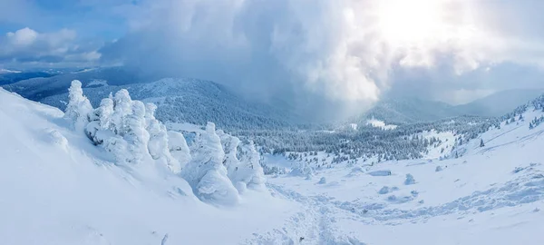 Panoramisch Landschap Van Een Besneeuwd Bos Bergen Een Zonnige Winterdag — Stockfoto