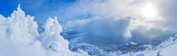 Panoramic Landscape Snowy Forest Mountains Sunny Winter Day Ukrainian Carpathians — Stock Photo, Image