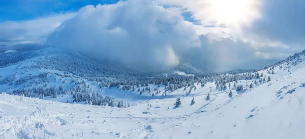 Πανοραμικό Τοπίο Ενός Χιονισμένου Δάσους Στα Βουνά Μια Ηλιόλουστη Χειμωνιάτικη — Φωτογραφία Αρχείου