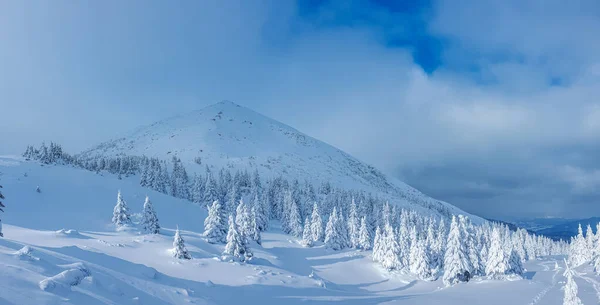 晴れた冬の日に山の中で雪の森のパノラマの風景 ペトロス山近くのウクライナのカルパティア人 — ストック写真