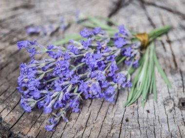 Eski ahşap masaya lavandula veya lavanta çiçek demet.