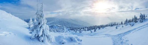 Paesaggio Panoramico Una Foresta Innevata Montagna Una Giornata Invernale Soleggiata — Foto Stock