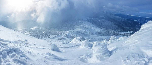 晴れた冬の日に山の中で雪の森のパノラマの風景 ペトロス山近くのウクライナのカルパティア人 — ストック写真