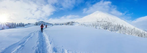 晴れた冬の日には山の中で雪の森のパノラマの風景です ウクライナのカルパティア人 ペトロス山の近く 観光客のグループがあります — ストック写真