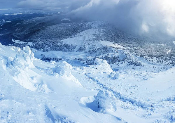 Paisagem Panorâmica Uma Floresta Nevada Nas Montanhas Dia Ensolarado Inverno — Fotografia de Stock