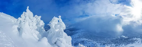 Panoramic Landscape Snowy Forest Mountains Sunny Winter Day Ukrainian Carpathians — Stock Photo, Image