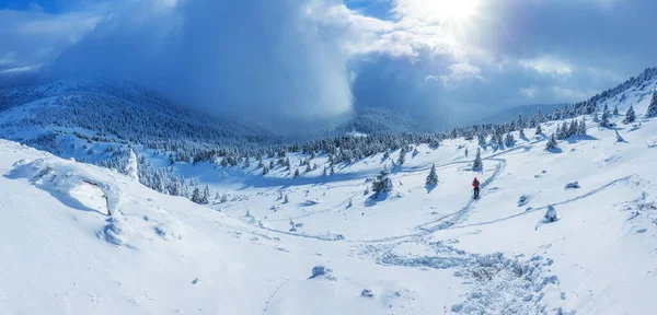 Panoramic Landscape Snowy Forest Mountains Sunny Winter Day Ukrainian Carpathians — Stock Photo, Image