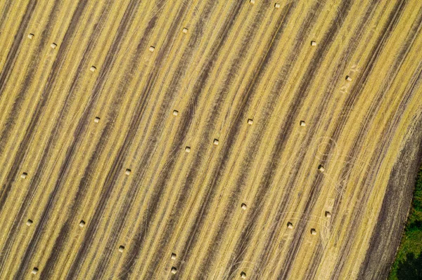 Aerial View Harvested Wheat Field Haystacks Lay Agricultural Field Photo Stock Photo