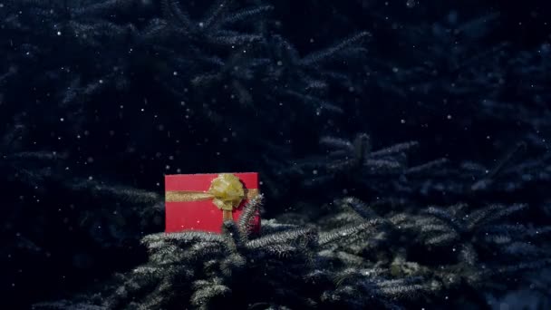 Cadeau Noël Dans Une Boîte Rouge Trouve Sur Les Branches — Video