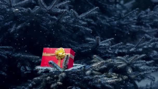 Regalo Navidad Una Caja Roja Encuentra Las Ramas Abeto Luz — Vídeo de stock