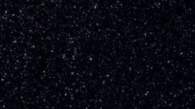 Düşen doğal kar taneleri kara bir zemin üzerinde izole edilmiş, bir sürü düşen kaotik kar..