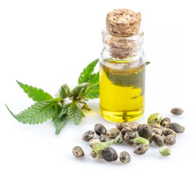 Kenevir yaprakları, tohumlar ve kenevir yağı beyaz arka planda izole edilmiş. Kapat..